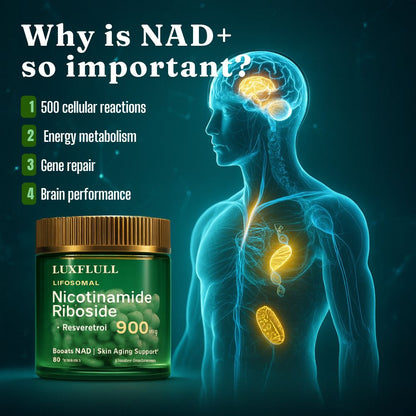 NAD+ Supplement for Skin Aging Support, Energy, and Focus